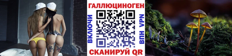 дарнет шоп  Нягань  Псилоцибиновые грибы мицелий 